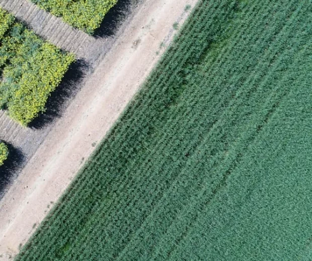 agriculture-projects