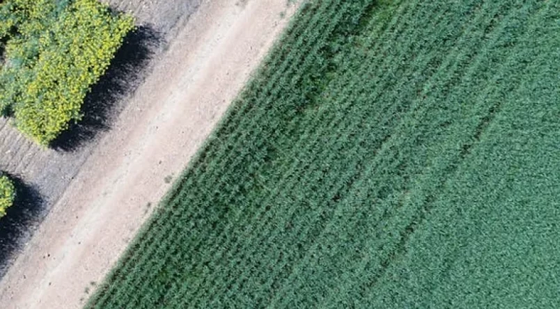 agriculture-projects agriculture-projects