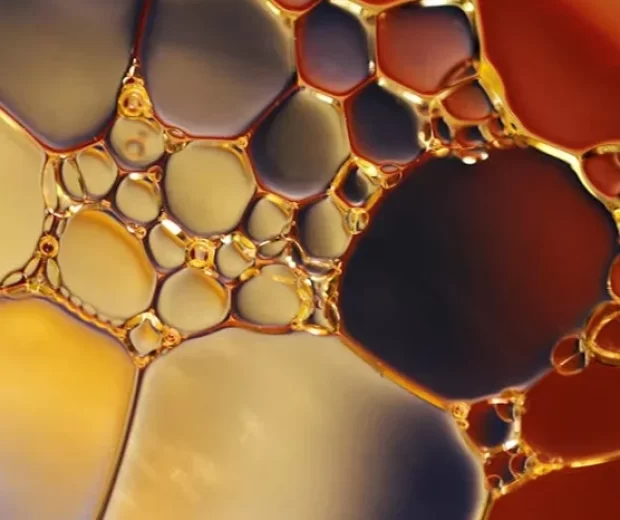gold-projects